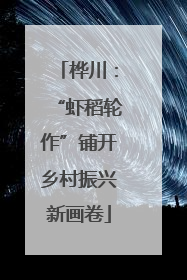 桦川：“虾稻轮作”铺开乡村振兴新画卷