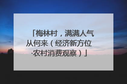 梅林村，满满人气从何来（经济新方位·农村消费观察）