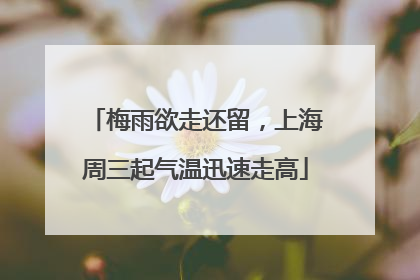 梅雨欲走还留，上海周三起气温迅速走高