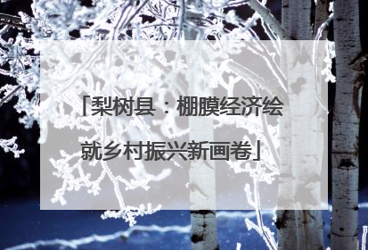 梨树县：棚膜经济绘就乡村振兴新画卷