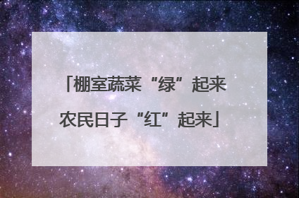 棚室蔬菜“绿”起来 农民日子“红”起来