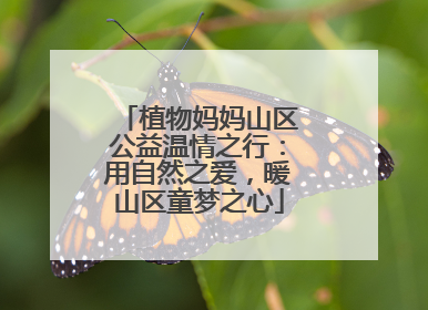 植物妈妈山区公益温情之行：用自然之爱，暖山区童梦之心