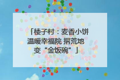 楼子村：麦香小饼温暖幸福院 撂荒地变“金饭碗”