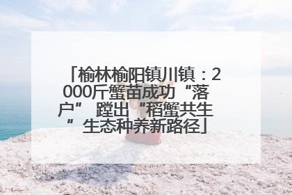 榆林榆阳镇川镇：2000斤蟹苗成功“落户” 蹚出“稻蟹共生”生态种养新路径