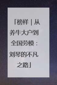 榜样｜从养牛大户到全国劳模：刘琴的不凡之路