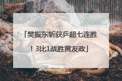 樊振东斩获乒超七连胜！3比1战胜黄友政