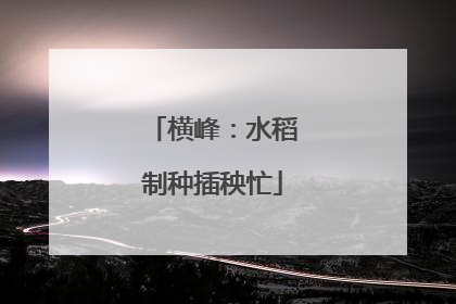 横峰：水稻制种插秧忙