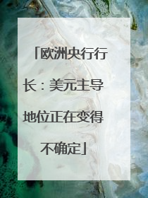 欧洲央行行长：美元主导地位正在变得不确定