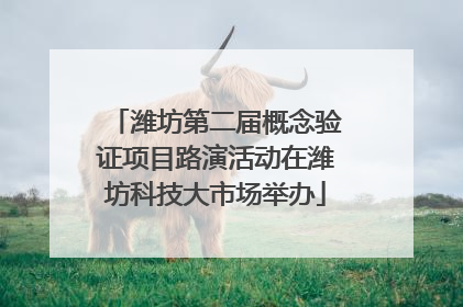 潍坊第二届概念验证项目路演活动在潍坊科技大市场举办