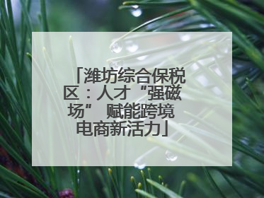 潍坊综合保税区：人才“强磁场” 赋能跨境电商新活力