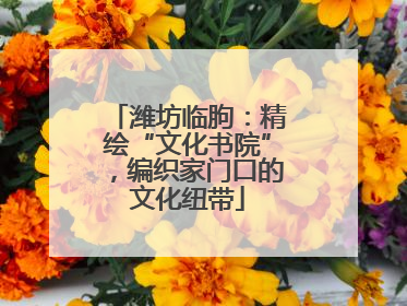 潍坊临朐：精绘“文化书院”，编织家门口的文化纽带