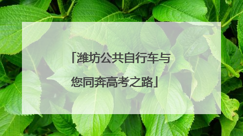 潍坊公共自行车与您同奔高考之路