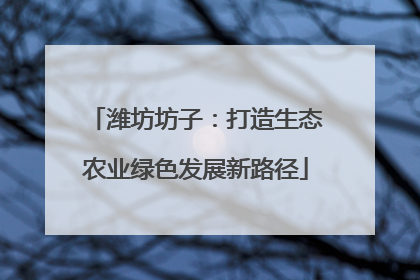 潍坊坊子：打造生态农业绿色发展新路径