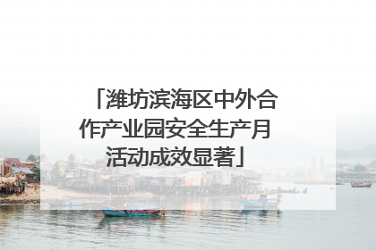 潍坊滨海区中外合作产业园安全生产月活动成效显著