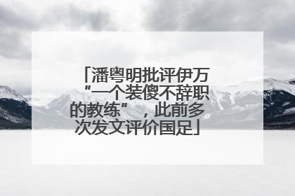 潘粤明批评伊万“一个装傻不辞职的教练”，此前多次发文评价国足