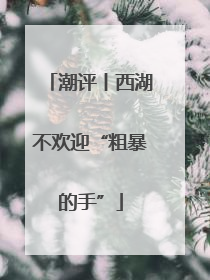 潮评丨西湖不欢迎“粗暴的手”