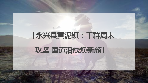 永兴县黄泥镇：干群周末攻坚 国道沿线焕新颜