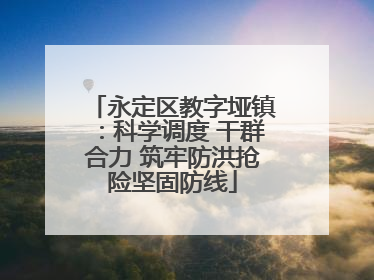永定区教字垭镇：科学调度 干群合力 筑牢防洪抢险坚固防线
