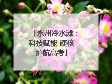 永州冷水滩：科技赋能 硬核护航高考