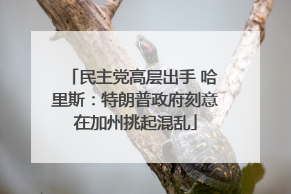 民主党高层出手 哈里斯：特朗普政府刻意在加州挑起混乱