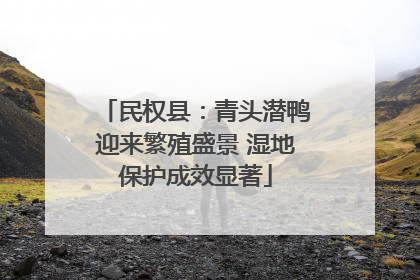 民权县：青头潜鸭迎来繁殖盛景 湿地保护成效显著