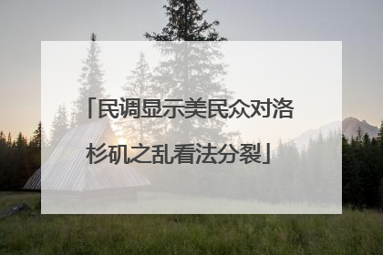 民调显示美民众对洛杉矶之乱看法分裂