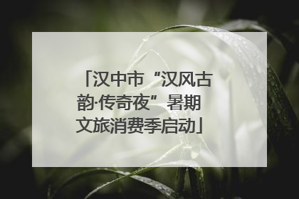 汉中市“汉风古韵·传奇夜”暑期文旅消费季启动