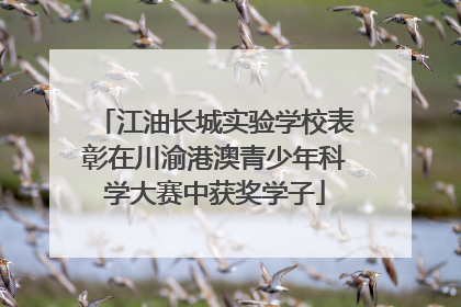 江油长城实验学校表彰在川渝港澳青少年科学大赛中获奖学子