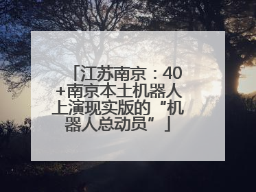 江苏南京：40+南京本土机器人上演现实版的“机器人总动员”
