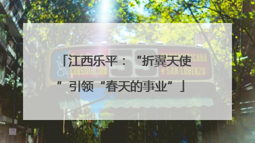 江西乐平：“折翼天使”引领“春天的事业”
