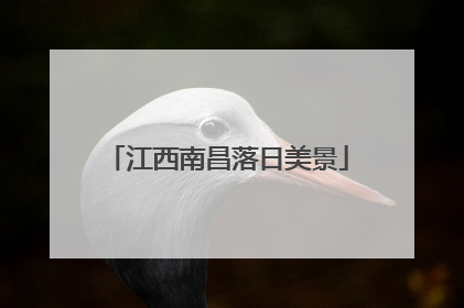 江西南昌落日美景