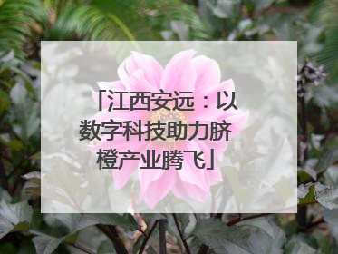 江西安远：以数字科技助力脐橙产业腾飞