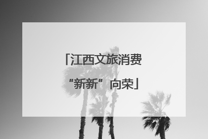 江西文旅消费“新新”向荣