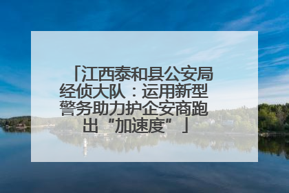 江西泰和县公安局经侦大队：运用新型警务助力护企安商跑出“加速度”