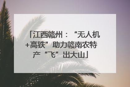 江西赣州：“无人机+高铁”助力赣南农特产“飞”出大山