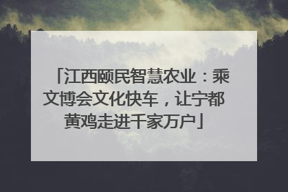 江西颐民智慧农业：乘文博会文化快车，让宁都黄鸡走进千家万户