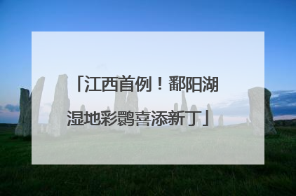 江西首例！鄱阳湖湿地彩鹮喜添新丁