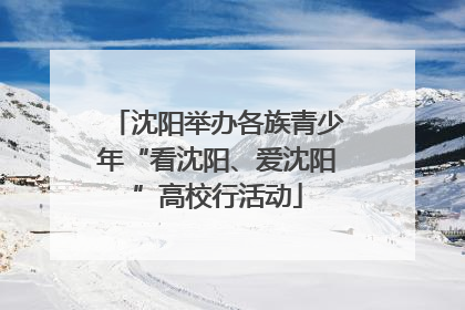 沈阳举办各族青少年“看沈阳、爱沈阳”高校行活动