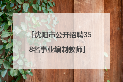 沈阳市公开招聘358名事业编制教师