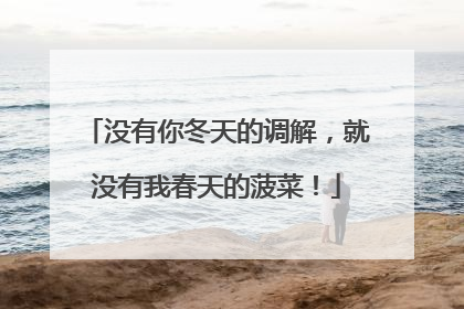 没有你冬天的调解，就没有我春天的菠菜！