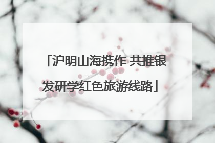 沪明山海携作 共推银发研学红色旅游线路