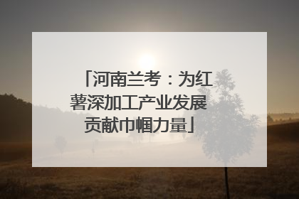 河南兰考：为红薯深加工产业发展贡献巾帼力量