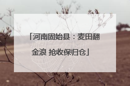 河南固始县：麦田翻金浪 抢收保归仓