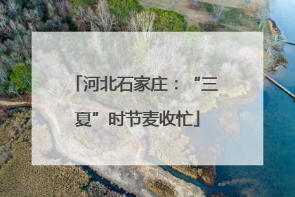 河北石家庄：“三夏”时节麦收忙