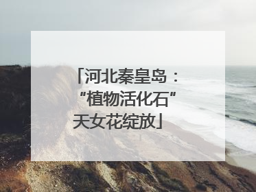 河北秦皇岛：“植物活化石”天女花绽放