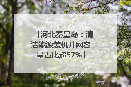 河北秦皇岛：清洁能源装机并网容量占比超57%