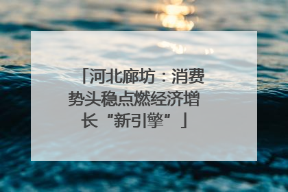河北廊坊：消费势头稳点燃经济增长“新引擎”