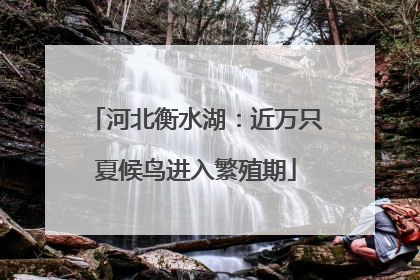 河北衡水湖：近万只夏候鸟进入繁殖期