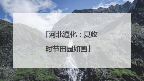 河北遵化：夏收时节田园如画