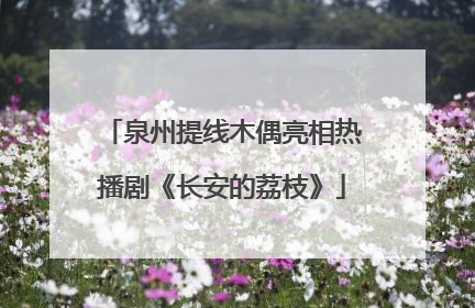 泉州提线木偶亮相热播剧《长安的荔枝》